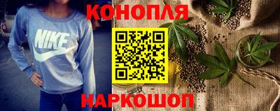 прущие грибы Канаш