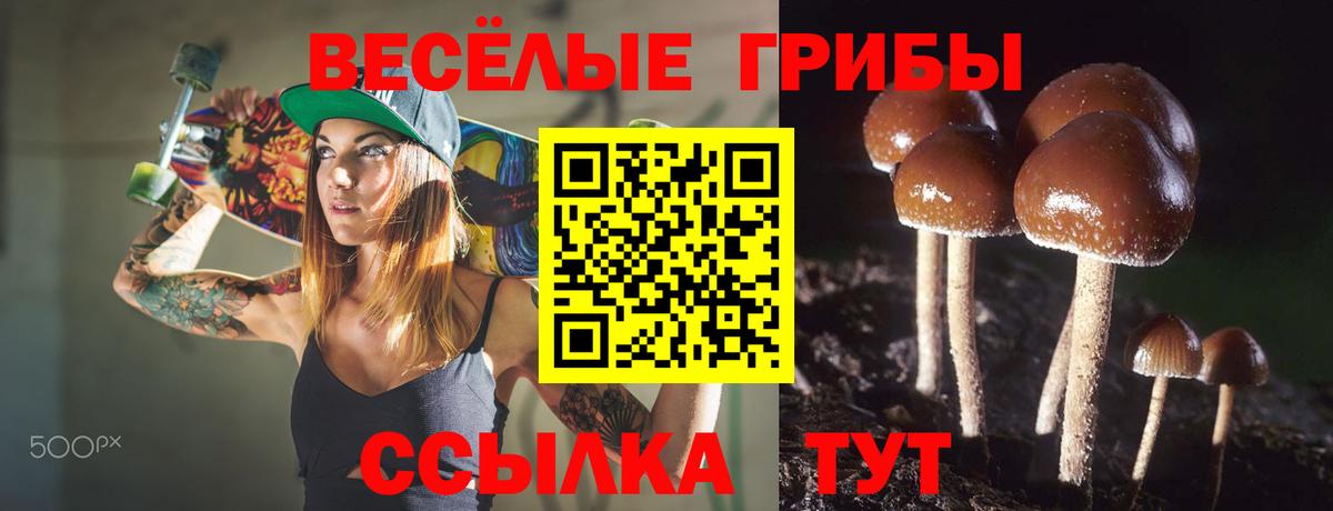 Псилоцибиновые грибы Cubensis Кувандык